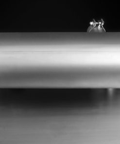 Remus Axle-back pakoputkisto, BMW 435i F3x 2012-2016 (N55)-2