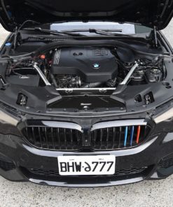 MST intake, BMW 530i G30 G31 (B48)-6