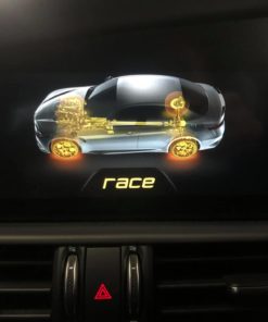 Alfa Romeo Giulia / Stelvio rDNA race valitsin-2