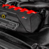 Eventuri intake kit, Audi RSQ3 F3 2019+-5